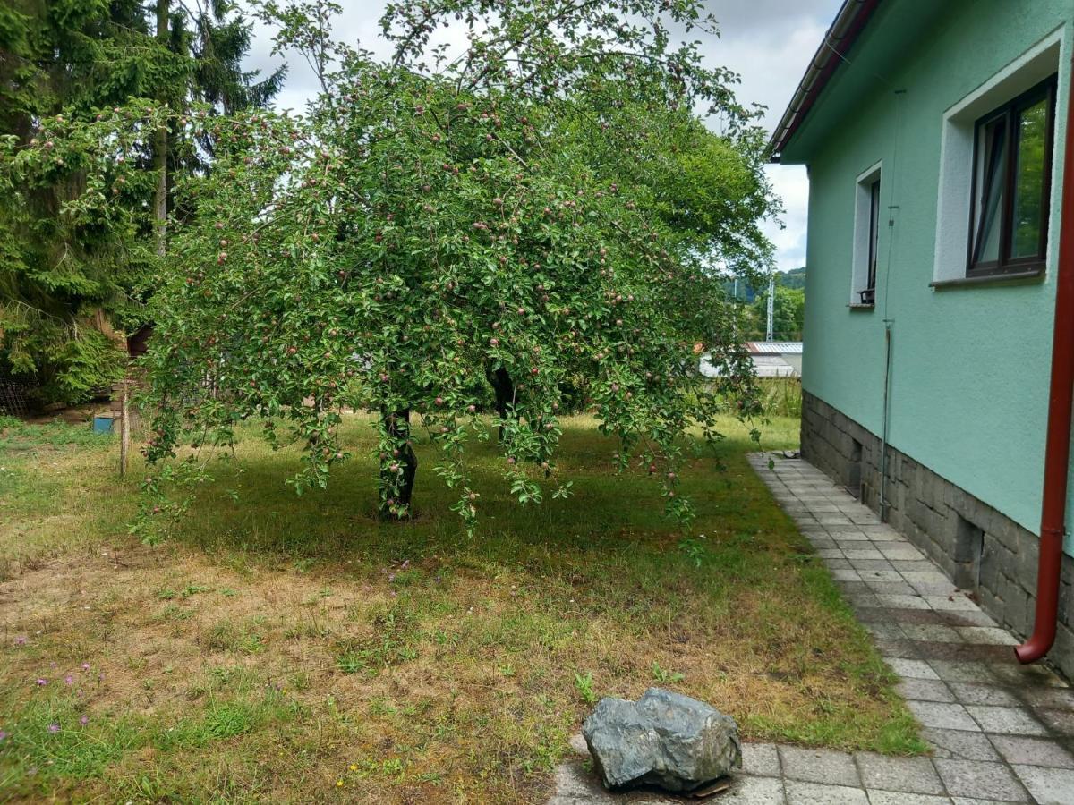 Apartment In The City Of Pilsen Bozkov Exteriör bild